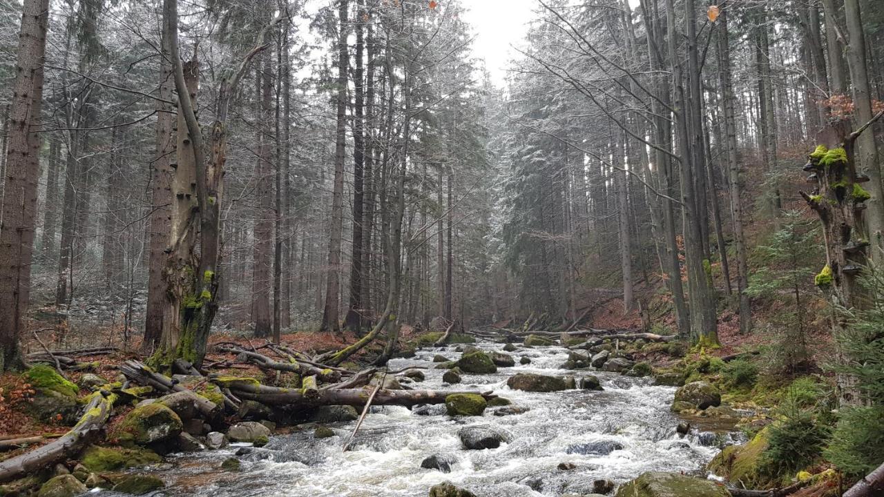 Villa Leika - Panoramablick Am Riesengebirge Mysłakowice Exteriér fotografie